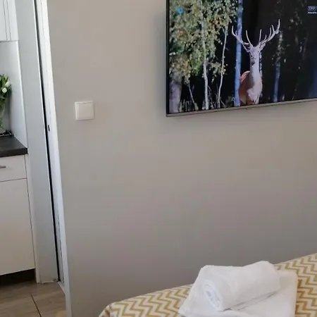 Cicha Przystan - Port