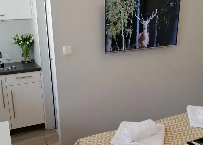 Cicha Przystan - Port